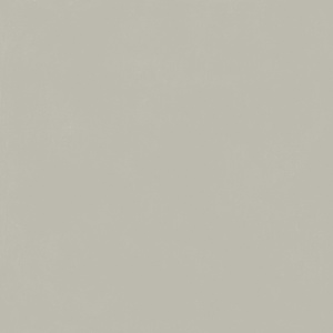 Форум Слим Сильвер