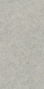 Форум Стоун Сильвер