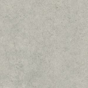 Форум Стоун Сильвер